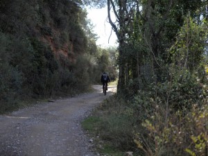 Camí Moliner
