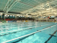 Piscina del CN Terrassa // Imatge del web de la Federació Catalana de Natació