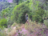 Imatge del blog Trail Sant Llorenç del Munt