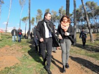 L’Ajuntament de Terrassa rep una subvenció de 877.000 € de la Diputació pels danys de la ventada // Imatge cedida per l'Ajuntament de Terrassa