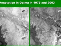 L'inesperat retrocés del desert: Greening Sahel // Imatge spacecollective.org