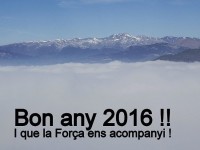 Bon Any 2016 (@barcelonamart)