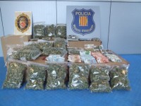 Detinguts els màxims responsables de dues associacions cannàbiques de Terrassa