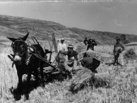 L’ancestral culte a la natura del dia de la Mare de Déu d’Agost