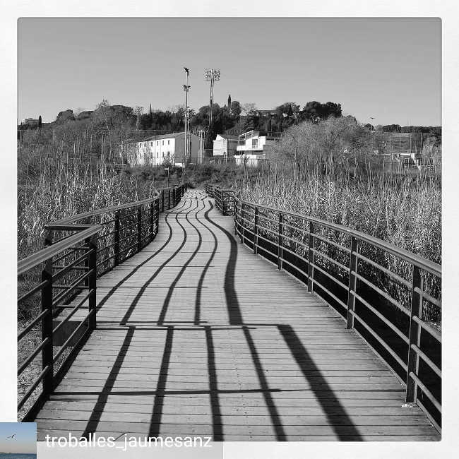 Pont Riu Ripoll// instagram 2019.02.09